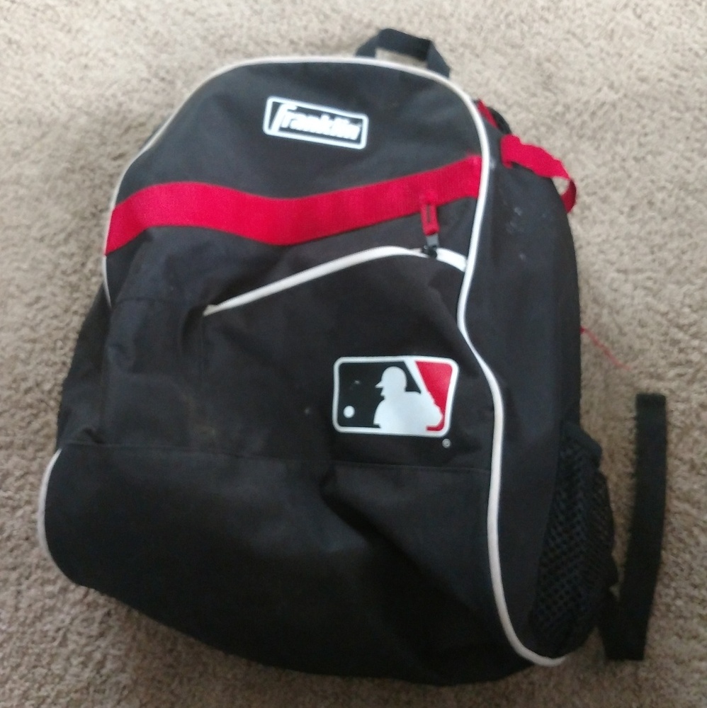 Franklin bat bag